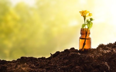 Usain Bolt and Homeopathy